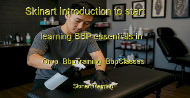 Skinart Introduction to start learning BBP essentials in Orup | BbpTraining | BbpClasses | SkinartTraining-Denmark