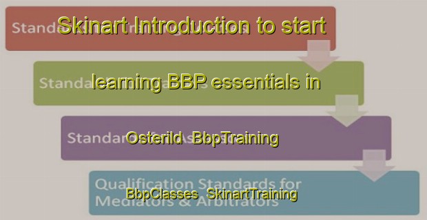 Skinart Introduction to start learning BBP essentials in Osterild | BbpTraining | BbpClasses | SkinartTraining-Denmark