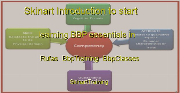 Skinart Introduction to start learning BBP essentials in Rufas | BbpTraining | BbpClasses | SkinartTraining-Denmark