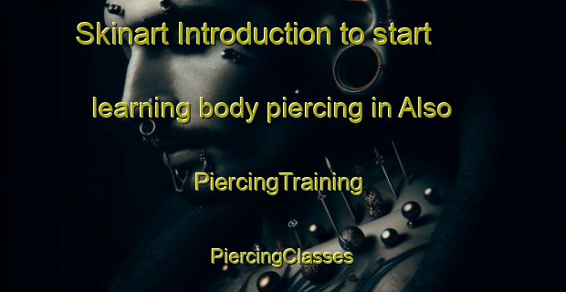 Skinart Introduction to start learning body piercing in Also | #PiercingTraining #PiercingClasses #SkinartTraining-Denmark