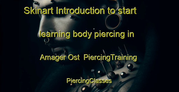 Skinart Introduction to start learning body piercing in Amager Ost | #PiercingTraining #PiercingClasses #SkinartTraining-Denmark