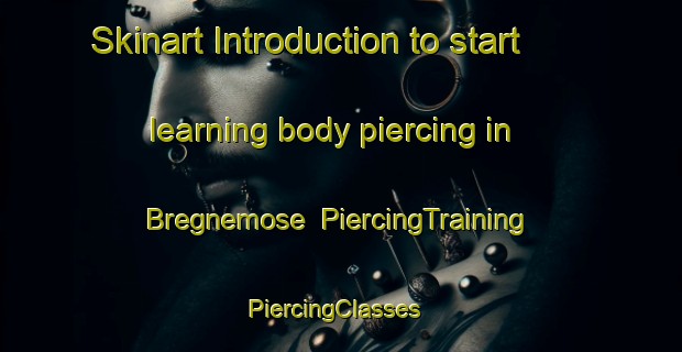 Skinart Introduction to start learning body piercing in Bregnemose | PiercingTraining | PiercingClasses | SkinartTraining-Denmark