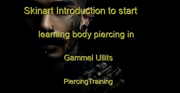 Skinart Introduction to start learning body piercing in Gammel Ullits | #PiercingTraining #PiercingClasses #SkinartTraining-Denmark