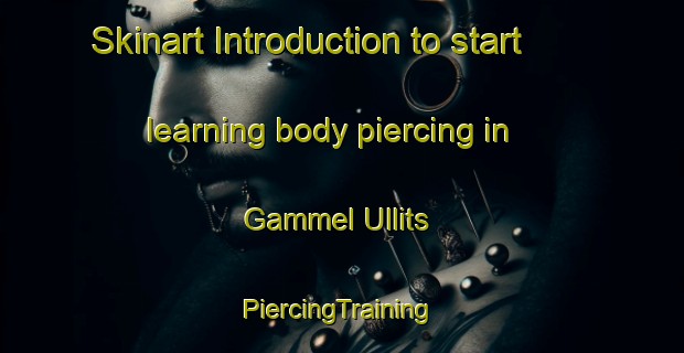 Skinart Introduction to start learning body piercing in Gammel Ullits | #PiercingTraining #PiercingClasses #SkinartTraining-Denmark