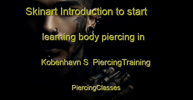 Skinart Introduction to start learning body piercing in Kobenhavn S | #PiercingTraining #PiercingClasses #SkinartTraining-Denmark