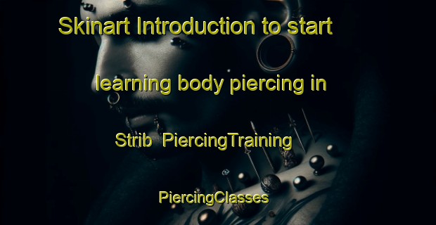 Skinart Introduction to start learning body piercing in Strib | PiercingTraining | PiercingClasses | SkinartTraining-Denmark