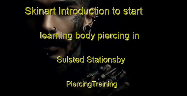 Skinart Introduction to start learning body piercing in Sulsted Stationsby | #PiercingTraining #PiercingClasses #SkinartTraining-Denmark