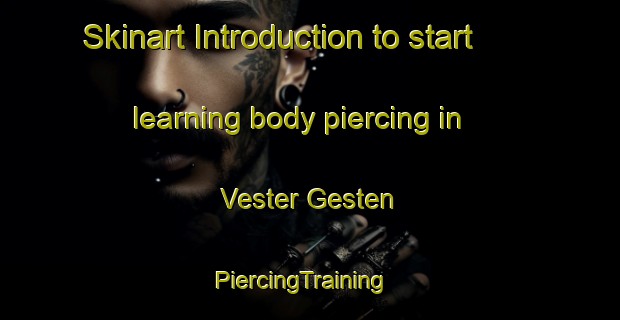 Skinart Introduction to start learning body piercing in Vester Gesten | PiercingTraining | PiercingClasses | SkinartTraining-Denmark