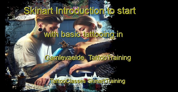 Skinart Introduction to start with basic tattooing in Gamlevaelde | #TattooTraining #TattooClasses #SkinartTraining-Denmark