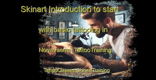 Skinart Introduction to start with basic tattooing in Norrevaerre | #TattooTraining #TattooClasses #SkinartTraining-Denmark