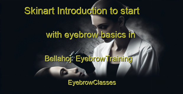 Skinart Introduction to start with eyebrow basics in Bellahoj | EyebrowTraining | EyebrowClasses | SkinartTraining-Denmark