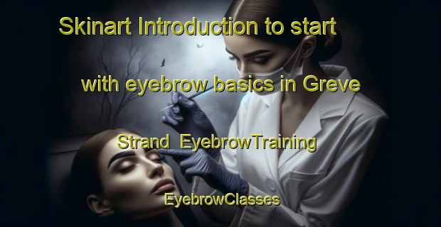 Skinart Introduction to start with eyebrow basics in Greve Strand | EyebrowTraining | EyebrowClasses | SkinartTraining-Denmark
