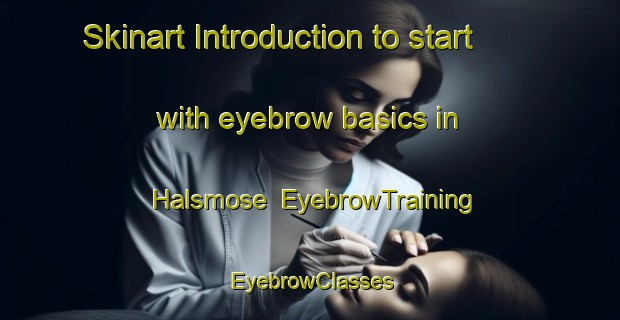 Skinart Introduction to start with eyebrow basics in Halsmose | EyebrowTraining | EyebrowClasses | SkinartTraining-Denmark
