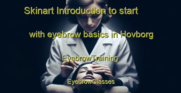 Skinart Introduction to start with eyebrow basics in Hovborg | EyebrowTraining | EyebrowClasses | SkinartTraining-Denmark