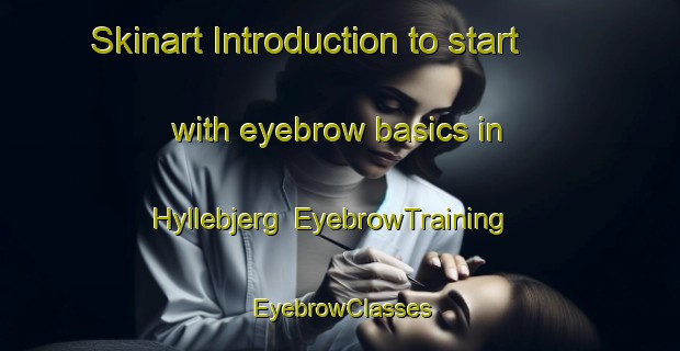 Skinart Introduction to start with eyebrow basics in Hyllebjerg | EyebrowTraining | EyebrowClasses | SkinartTraining-Denmark