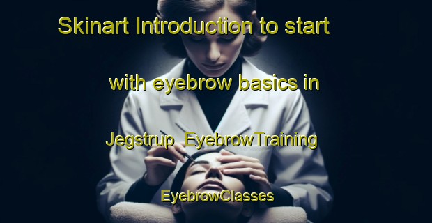 Skinart Introduction to start with eyebrow basics in Jegstrup | EyebrowTraining | EyebrowClasses | SkinartTraining-Denmark