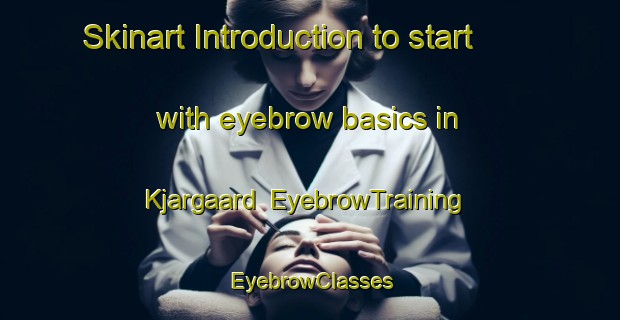 Skinart Introduction to start with eyebrow basics in Kjargaard | EyebrowTraining | EyebrowClasses | SkinartTraining-Denmark
