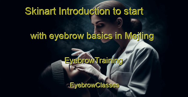 Skinart Introduction to start with eyebrow basics in Mejling | EyebrowTraining | EyebrowClasses | SkinartTraining-Denmark