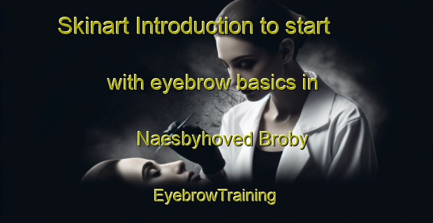 Skinart Introduction to start with eyebrow basics in Naesbyhoved Broby | EyebrowTraining | EyebrowClasses | SkinartTraining-Denmark