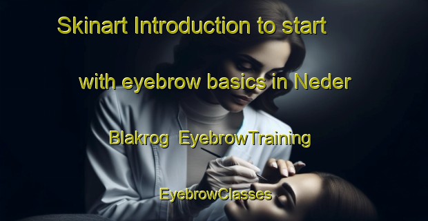 Skinart Introduction to start with eyebrow basics in Neder Blakrog | EyebrowTraining | EyebrowClasses | SkinartTraining-Denmark