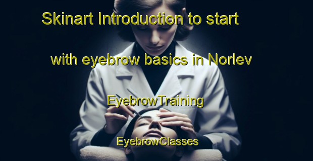 Skinart Introduction to start with eyebrow basics in Norlev | EyebrowTraining | EyebrowClasses | SkinartTraining-Denmark