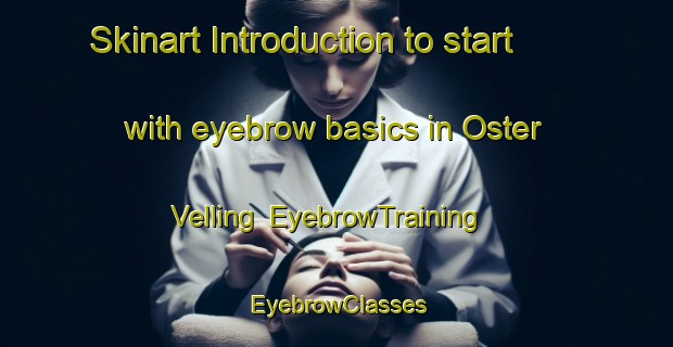 Skinart Introduction to start with eyebrow basics in Oster Velling | EyebrowTraining | EyebrowClasses | SkinartTraining-Denmark