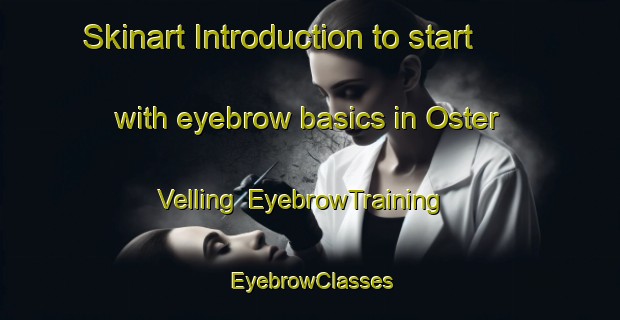 Skinart Introduction to start with eyebrow basics in Oster Velling | EyebrowTraining | EyebrowClasses | SkinartTraining-Denmark