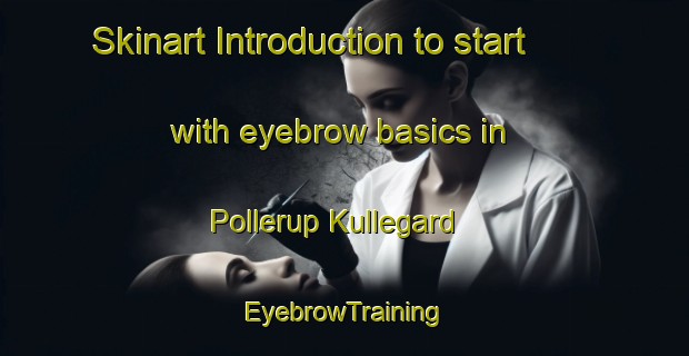 Skinart Introduction to start with eyebrow basics in Pollerup Kullegard | EyebrowTraining | EyebrowClasses | SkinartTraining-Denmark