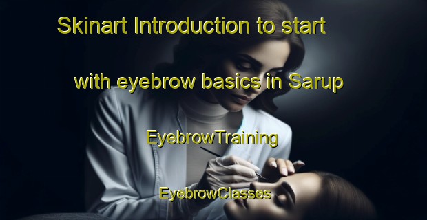 Skinart Introduction to start with eyebrow basics in Sarup | EyebrowTraining | EyebrowClasses | SkinartTraining-Denmark