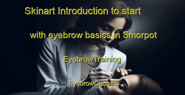 Skinart Introduction to start with eyebrow basics in Smorpot | EyebrowTraining | EyebrowClasses | SkinartTraining-Denmark