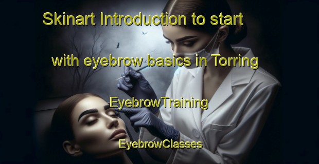 Skinart Introduction to start with eyebrow basics in Torring | EyebrowTraining | EyebrowClasses | SkinartTraining-Denmark