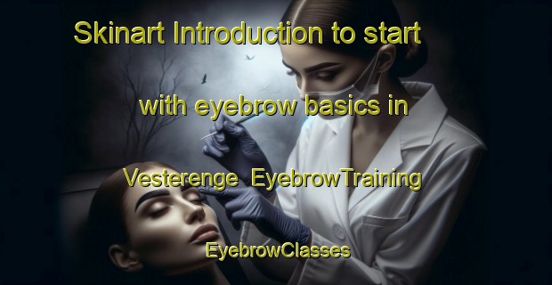 Skinart Introduction to start with eyebrow basics in Vesterenge | EyebrowTraining | EyebrowClasses | SkinartTraining-Denmark