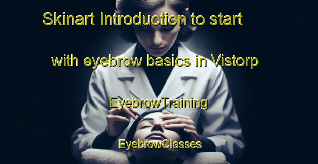 Skinart Introduction to start with eyebrow basics in Vistorp | EyebrowTraining | EyebrowClasses | SkinartTraining-Denmark