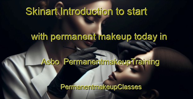 Skinart Introduction to start with permanent makeup today in Asbo | #PermanentmakeupTraining #PermanentmakeupClasses #SkinartTraining-Denmark