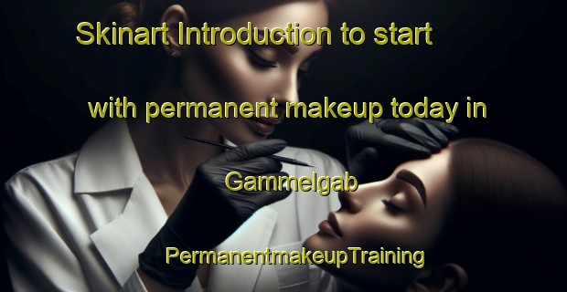 Skinart Introduction to start with permanent makeup today in Gammelgab | #PermanentmakeupTraining #PermanentmakeupClasses #SkinartTraining-Denmark