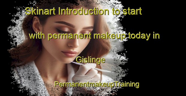 Skinart Introduction to start with permanent makeup today in Gislinge | #PermanentmakeupTraining #PermanentmakeupClasses #SkinartTraining-Denmark