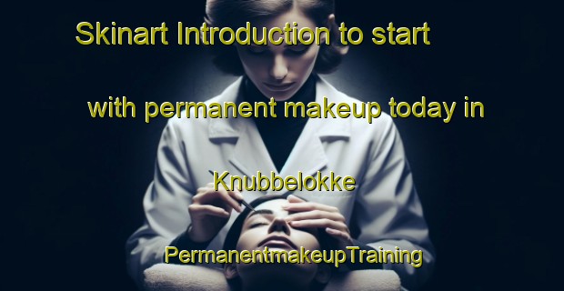 Skinart Introduction to start with permanent makeup today in Knubbelokke | #PermanentmakeupTraining #PermanentmakeupClasses #SkinartTraining-Denmark