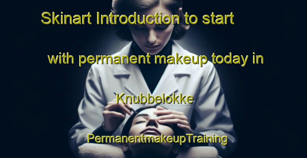 Skinart Introduction to start with permanent makeup today in Knubbelokke | PermanentmakeupTraining | PermanentmakeupClasses | SkinartTraining-Denmark