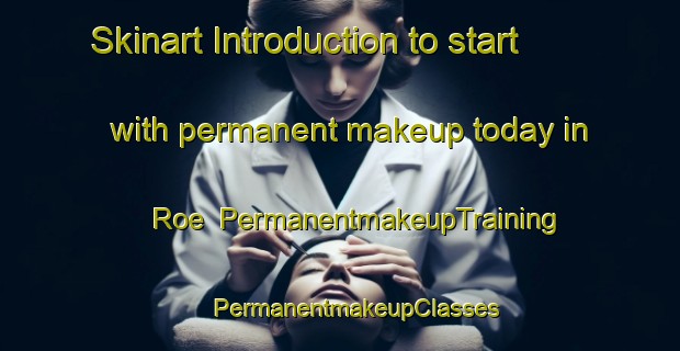 Skinart Introduction to start with permanent makeup today in Roe | #PermanentmakeupTraining #PermanentmakeupClasses #SkinartTraining-Denmark