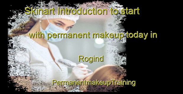 Skinart Introduction to start with permanent makeup today in Rogind | PermanentmakeupTraining | PermanentmakeupClasses | SkinartTraining-Denmark