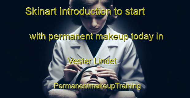 Skinart Introduction to start with permanent makeup today in Vester Lindet | PermanentmakeupTraining | PermanentmakeupClasses | SkinartTraining-Denmark
