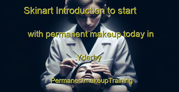 Skinart Introduction to start with permanent makeup today in Yderby | PermanentmakeupTraining | PermanentmakeupClasses | SkinartTraining-Denmark