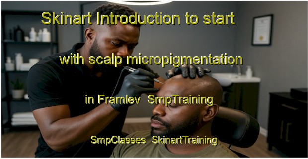 Skinart Introduction to start with scalp micropigmentation in Framlev | SmpTraining | SmpClasses | SkinartTraining-Denmark