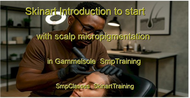 Skinart Introduction to start with scalp micropigmentation in Gammelsole | SmpTraining | SmpClasses | SkinartTraining-Denmark