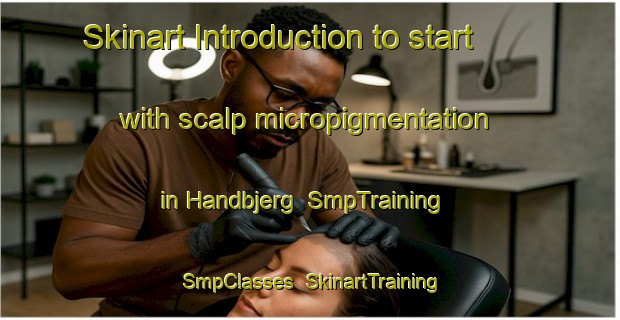 Skinart Introduction to start with scalp micropigmentation in Handbjerg | SmpTraining | SmpClasses | SkinartTraining-Denmark