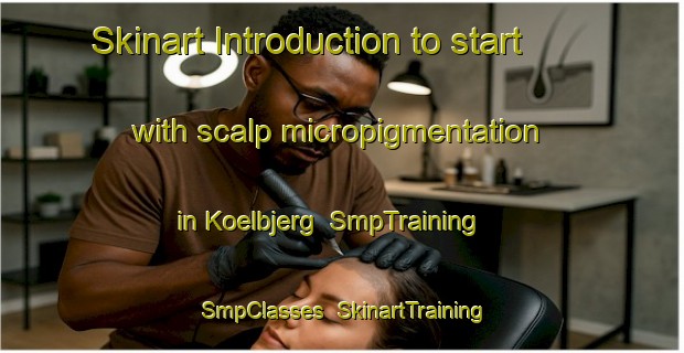 Skinart Introduction to start with scalp micropigmentation in Koelbjerg | SmpTraining | SmpClasses | SkinartTraining-Denmark