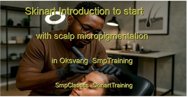 Skinart Introduction to start with scalp micropigmentation in Oksvang | SmpTraining | SmpClasses | SkinartTraining-Denmark
