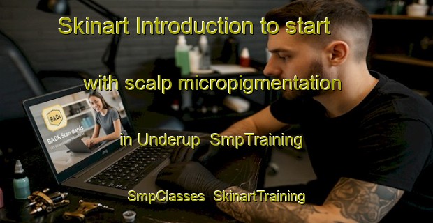 Skinart Introduction to start with scalp micropigmentation in Underup | SmpTraining | SmpClasses | SkinartTraining-Denmark