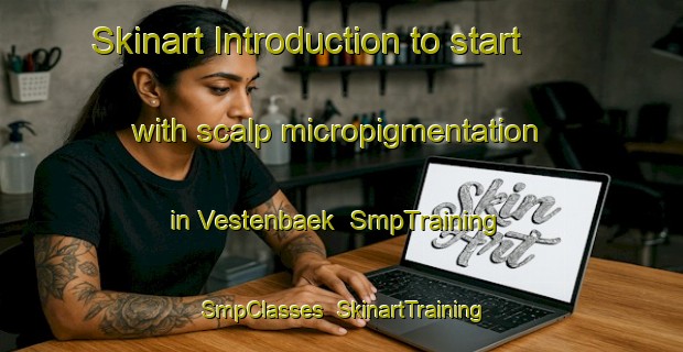 Skinart Introduction to start with scalp micropigmentation in Vestenbaek | SmpTraining | SmpClasses | SkinartTraining-Denmark