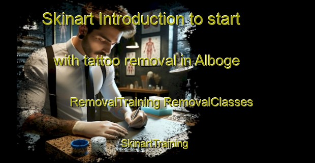 Skinart Introduction to start with tattoo removal in Alboge | #RemovalTraining #RemovalClasses #SkinartTraining-Denmark